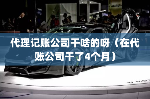 代理记账公司干啥的呀（在代账公司干了4个月）