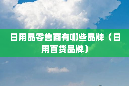 日用品零售商有哪些品牌（日用百货品牌）