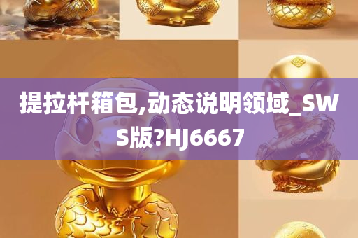 提拉杆箱包,动态说明领域_SWS版?HJ6667