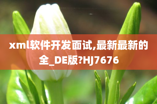 xml软件开发面试,最新最新的全_DE版?HJ7676