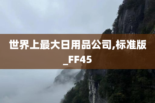 世界上最大日用品公司,标准版_FF45