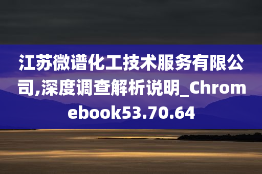 江苏微谱化工技术服务有限公司,深度调查解析说明_Chromebook53.70.64