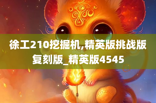 徐工210挖掘机,精英版挑战版复刻版_精英版4545