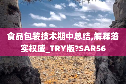 食品包装技术期中总结,解释落实权威_TRY版?SAR56