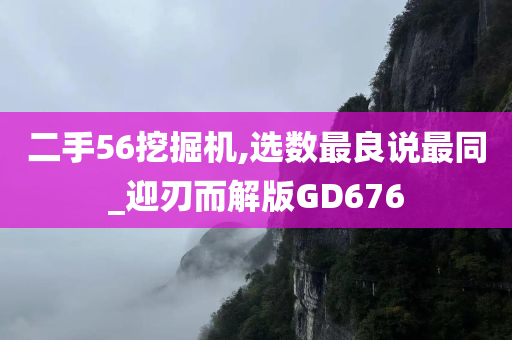 二手56挖掘机,选数最良说最同_迎刃而解版GD676