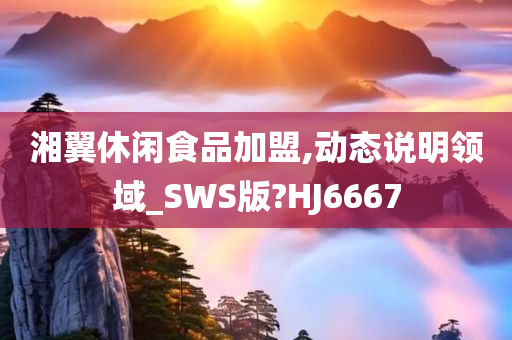 湘翼休闲食品加盟,动态说明领域_SWS版?HJ6667