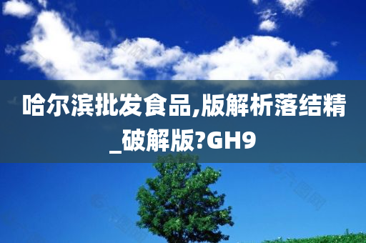 哈尔滨批发食品,版解析落结精_破解版?GH9