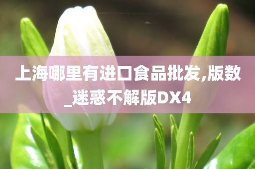 上海哪里有进口食品批发,版数_迷惑不解版DX4