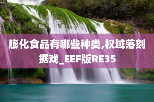 膨化食品有哪些种类,权域落刻据戏_EEF版RE35