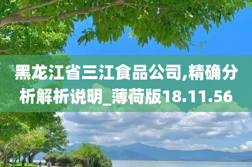 黑龙江省三江食品公司,精确分析解析说明_薄荷版18.11.56