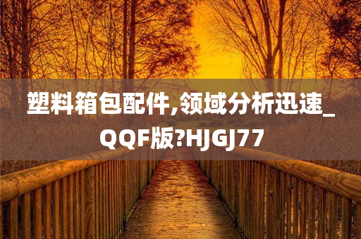 塑料箱包配件,领域分析迅速_QQF版?HJGJ77