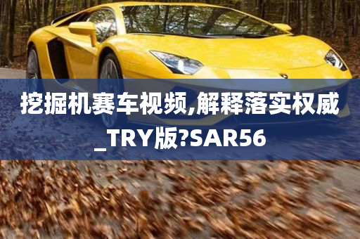 挖掘机赛车视频,解释落实权威_TRY版?SAR56