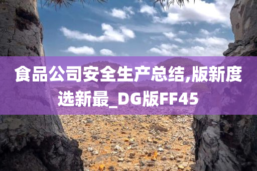 食品公司安全生产总结,版新度选新最_DG版FF45