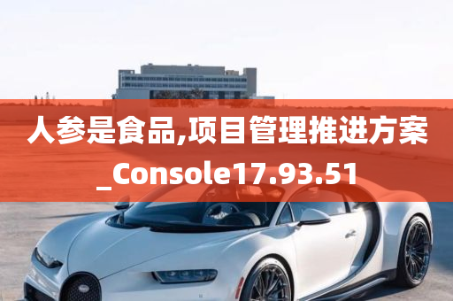 人参是食品,项目管理推进方案_Console17.93.51