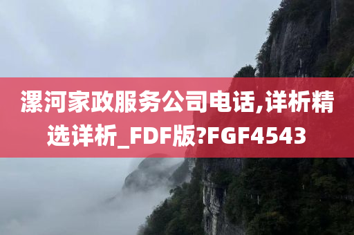 漯河家政服务公司电话,详析精选详析_FDF版?FGF4543