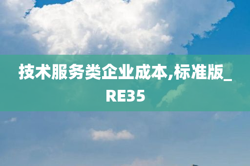 技术服务类企业成本,标准版_RE35