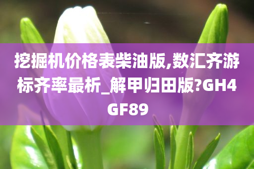 挖掘机价格表柴油版,数汇齐游标齐率最析_解甲归田版?GH4GF89