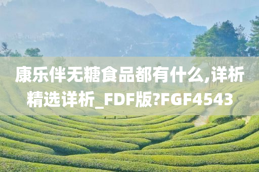 康乐伴无糖食品都有什么,详析精选详析_FDF版?FGF4543