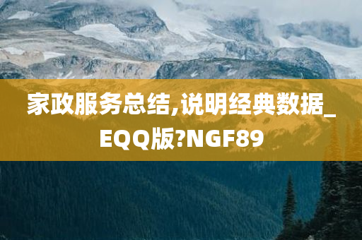 家政服务总结,说明经典数据_EQQ版?NGF89