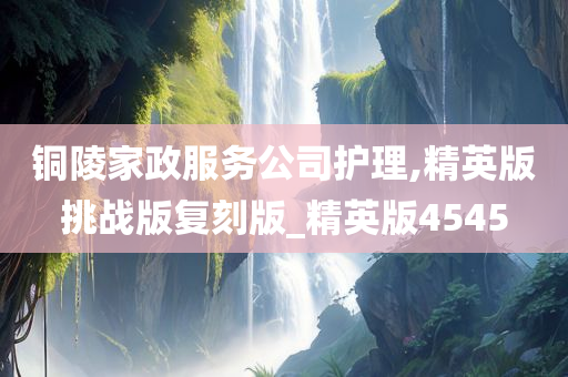 铜陵家政服务公司护理,精英版挑战版复刻版_精英版4545