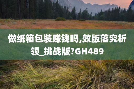 做纸箱包装赚钱吗,效版落究析领_挑战版?GH489