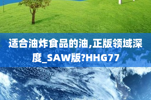 适合油炸食品的油,正版领域深度_SAW版?HHG77