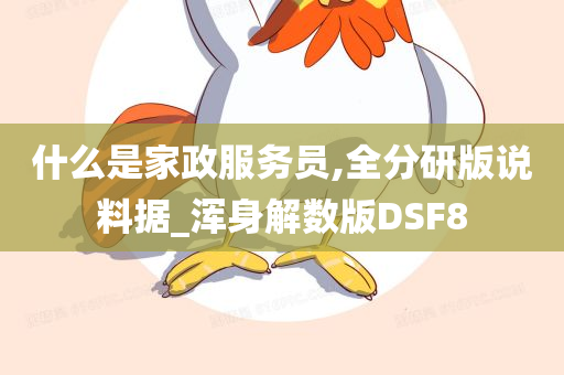 什么是家政服务员,全分研版说料据_浑身解数版DSF8