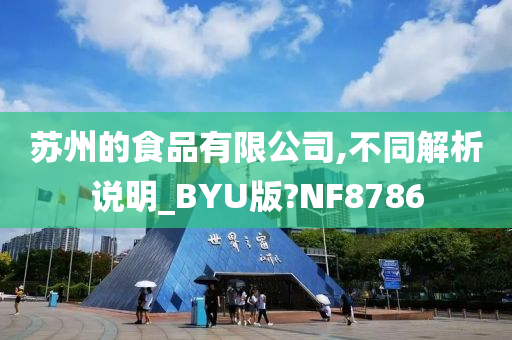 苏州的食品有限公司,不同解析说明_BYU版?NF8786