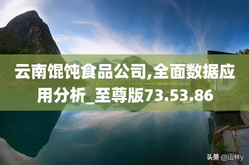 云南馄饨食品公司,全面数据应用分析_至尊版73.53.86