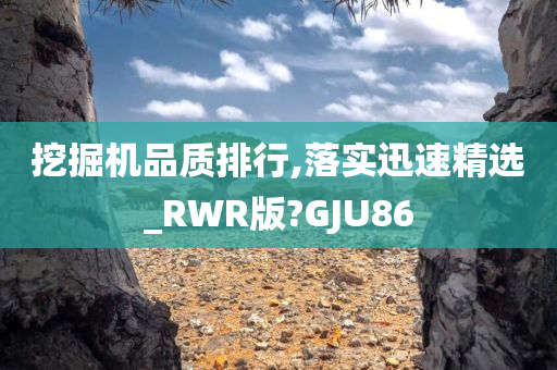 挖掘机品质排行,落实迅速精选_RWR版?GJU86