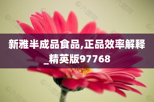 新雅半成品食品,正品效率解释_精英版97768