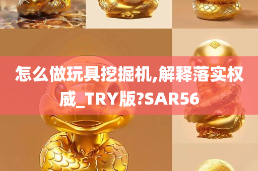 怎么做玩具挖掘机,解释落实权威_TRY版?SAR56