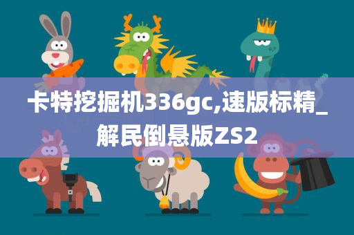 卡特挖掘机336gc,速版标精_解民倒悬版ZS2