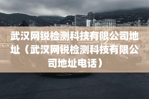 武汉网锐检测科技有限公司地址（武汉网锐检测科技有限公司地址电话）