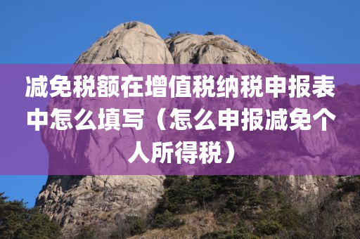 减免税额在增值税纳税申报表中怎么填写（怎么申报减免个人所得税）