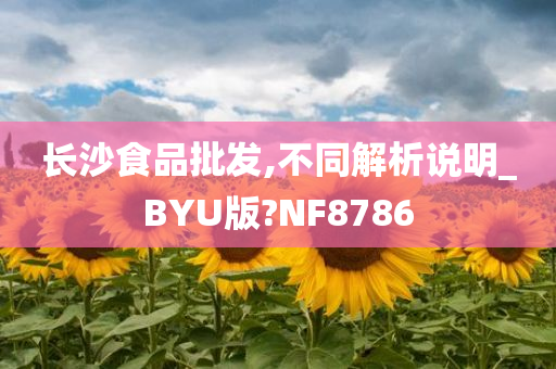 长沙食品批发,不同解析说明_BYU版?NF8786