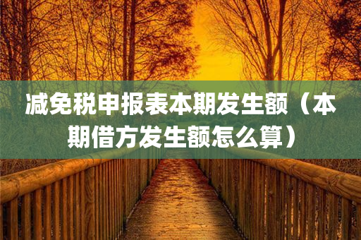 减免税申报表本期发生额（本期借方发生额怎么算）