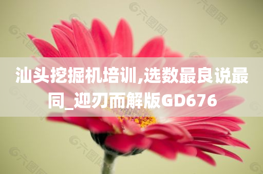 汕头挖掘机培训,选数最良说最同_迎刃而解版GD676