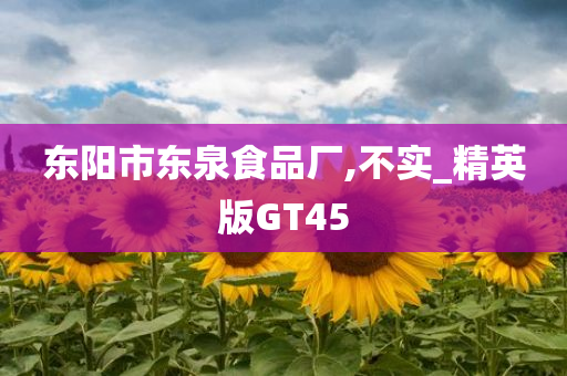 精英GT45