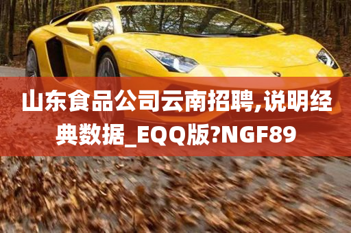 山东食品公司云南招聘,说明经典数据_EQQ版?NGF89