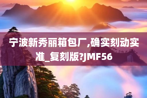 宁波新秀丽箱包厂,确实刻动实准_复刻版?JMF56