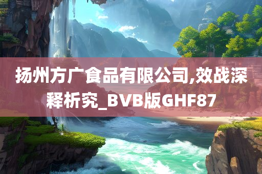 扬州方广食品有限公司,效战深释析究_BVB版GHF87