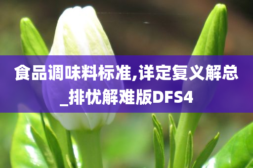 食品调味料标准,详定复义解总_排忧解难版DFS4