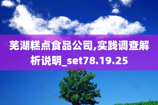 芜湖糕点食品公司,实践调查解析说明_set78.19.25