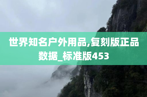 世界知名户外用品,复刻版正品数据_标准版453