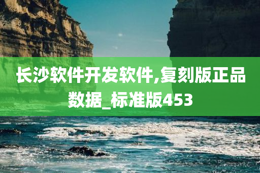 长沙软件开发软件,复刻版正品数据_标准版453