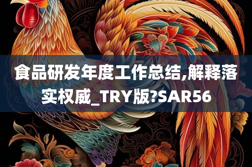 食品研发年度工作总结,解释落实权威_TRY版?SAR56