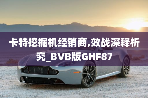 卡特挖掘机经销商,效战深释析究_BVB版GHF87