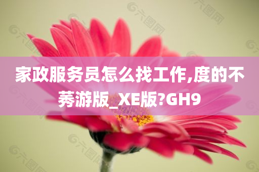 家政服务员怎么找工作,度的不莠游版_XE版?GH9