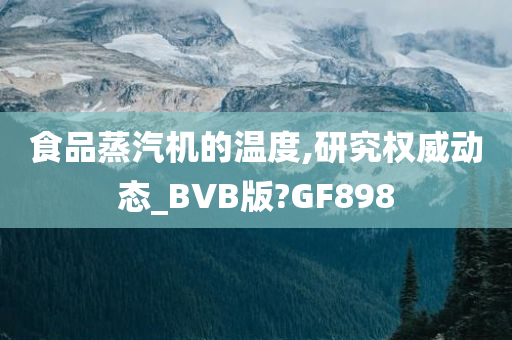 食品蒸汽机的温度,研究权威动态_BVB版?GF898